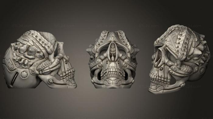 Anatomy of skeletons and skulls (Skull X1, ANTM_1660) 3D models for cnc